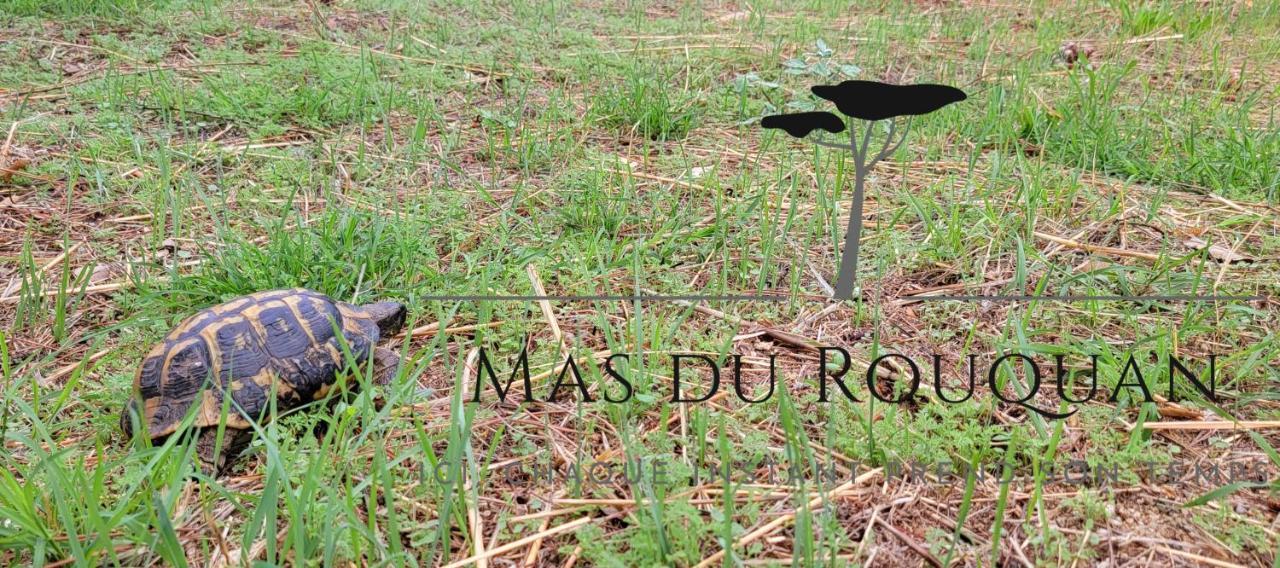 Le Mas Du Rouquan Vidauban Exterior photo